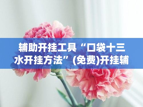 辅助开挂工具“口袋十三水开挂方法”(免费)开挂辅助教学(最新辅助开挂教程)