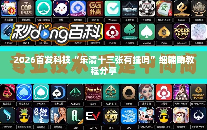 2026首发科技“乐清十三张有挂吗”细辅助教程分享