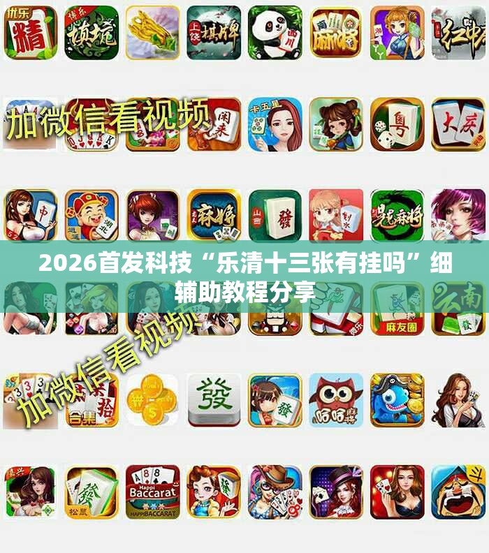 2026首发科技“乐清十三张有挂吗”细辅助教程分享