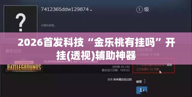 2026首发科技“金乐桃有挂吗”开挂(透视)辅助神器
