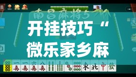 开挂技巧“微乐家乡麻将挂软件”(透视)其实确实有挂