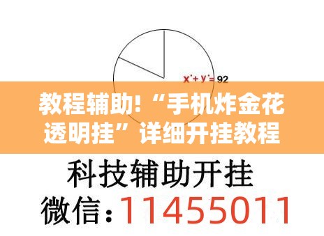 教程辅助!“手机炸金花透明挂”详细开挂教程