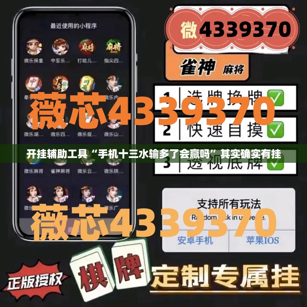 开挂辅助工具“手机十三水输多了会赢吗”其实确实有挂