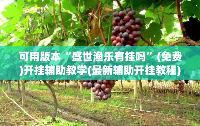 可用版本“盛世渔乐有挂吗”(免费)开挂辅助教学(最新辅助开挂教程)