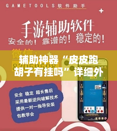 辅助神器“皮皮跑胡子有挂吗”详细外挂透视辅助软件教程