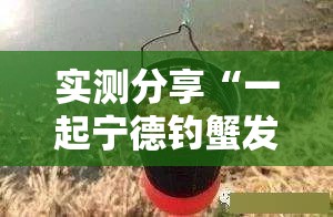 实测分享“一起宁德钓蟹发牌规律”2026开挂教程步骤