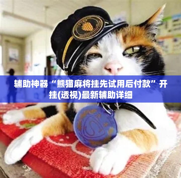 辅助神器“熊猫麻将挂先试用后付款	”开挂(透视)最新辅助详细
