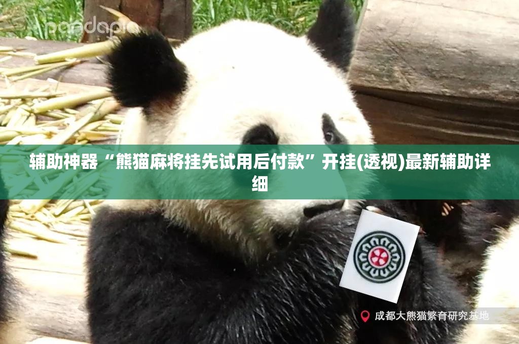 辅助神器“熊猫麻将挂先试用后付款”开挂(透视)最新辅助详细
