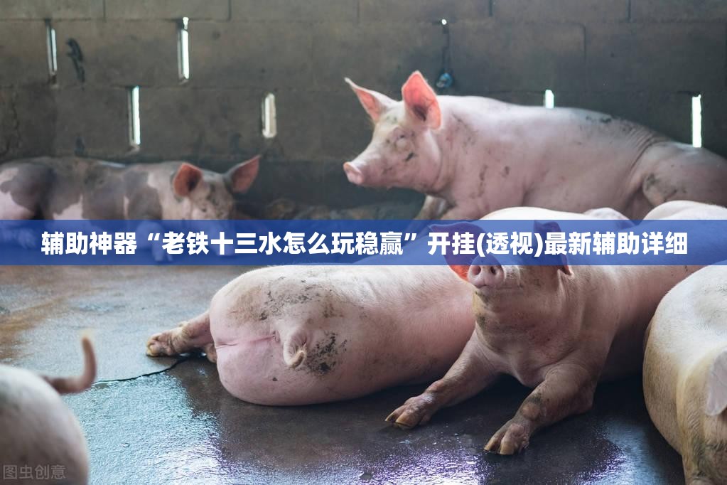 辅助神器“老铁十三水怎么玩稳赢	”开挂(透视)最新辅助详细