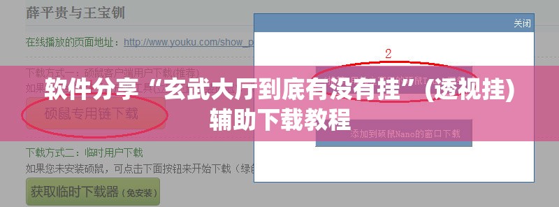 软件分享“玄武大厅到底有没有挂”(透视挂)辅助下载教程