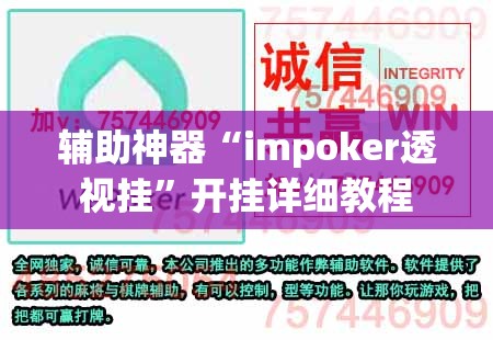 辅助神器“impoker透视挂”开挂详细教程