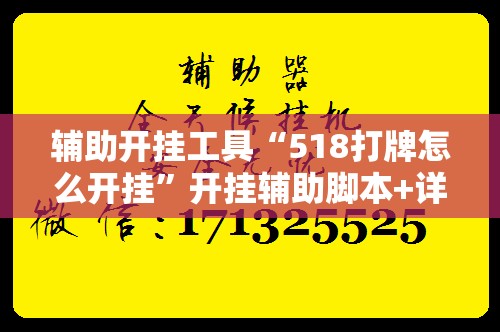 辅助开挂工具“518打牌怎么开挂	”开挂辅助脚本+详细开挂安装教程