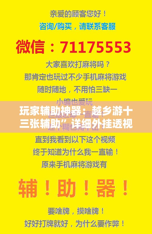 玩家辅助神器：越乡游十三张辅助	”详细外挂透视辅助软件教程