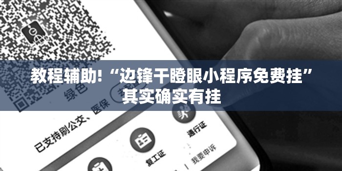 教程辅助!“边锋干瞪眼小程序免费挂”其实确实有挂