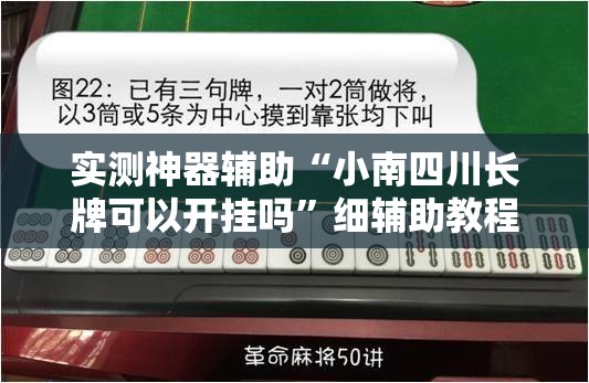实测神器辅助“小南四川长牌可以开挂吗”细辅助教程分享