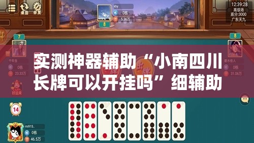 实测神器辅助“小南四川长牌可以开挂吗”细辅助教程分享