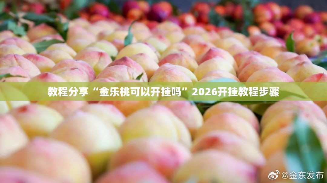 教程分享“金乐桃可以开挂吗”2026开挂教程步骤