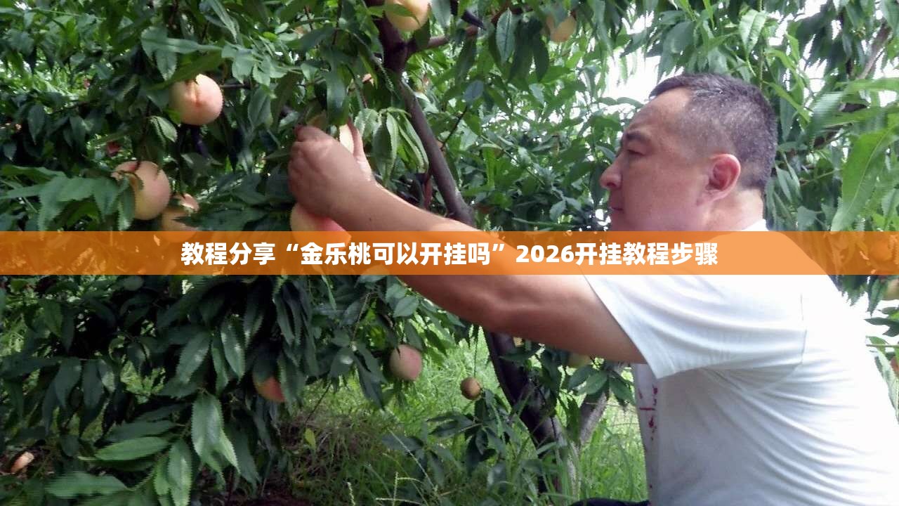 教程分享“金乐桃可以开挂吗”2026开挂教程步骤