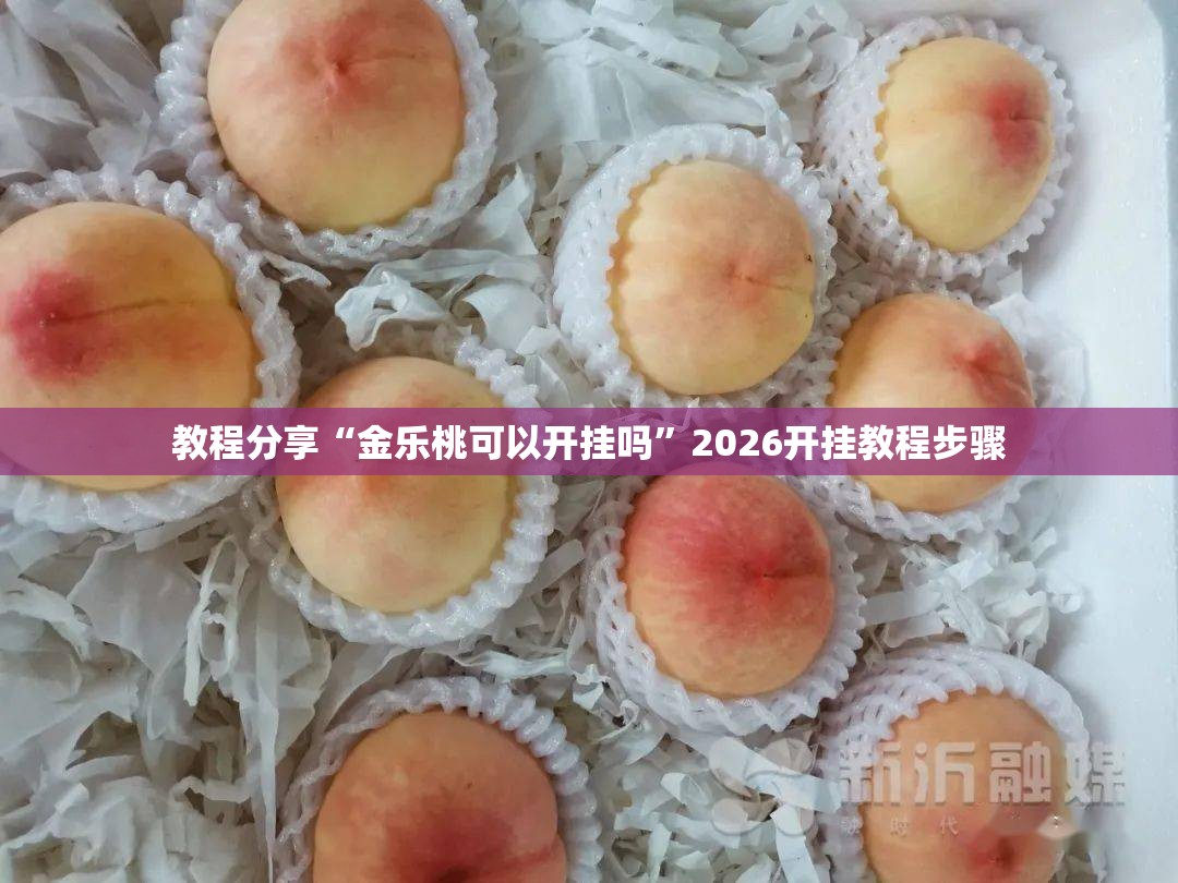 教程分享“金乐桃可以开挂吗”2026开挂教程步骤