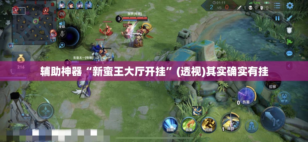 辅助神器“新蛮王大厅开挂”(透视)其实确实有挂