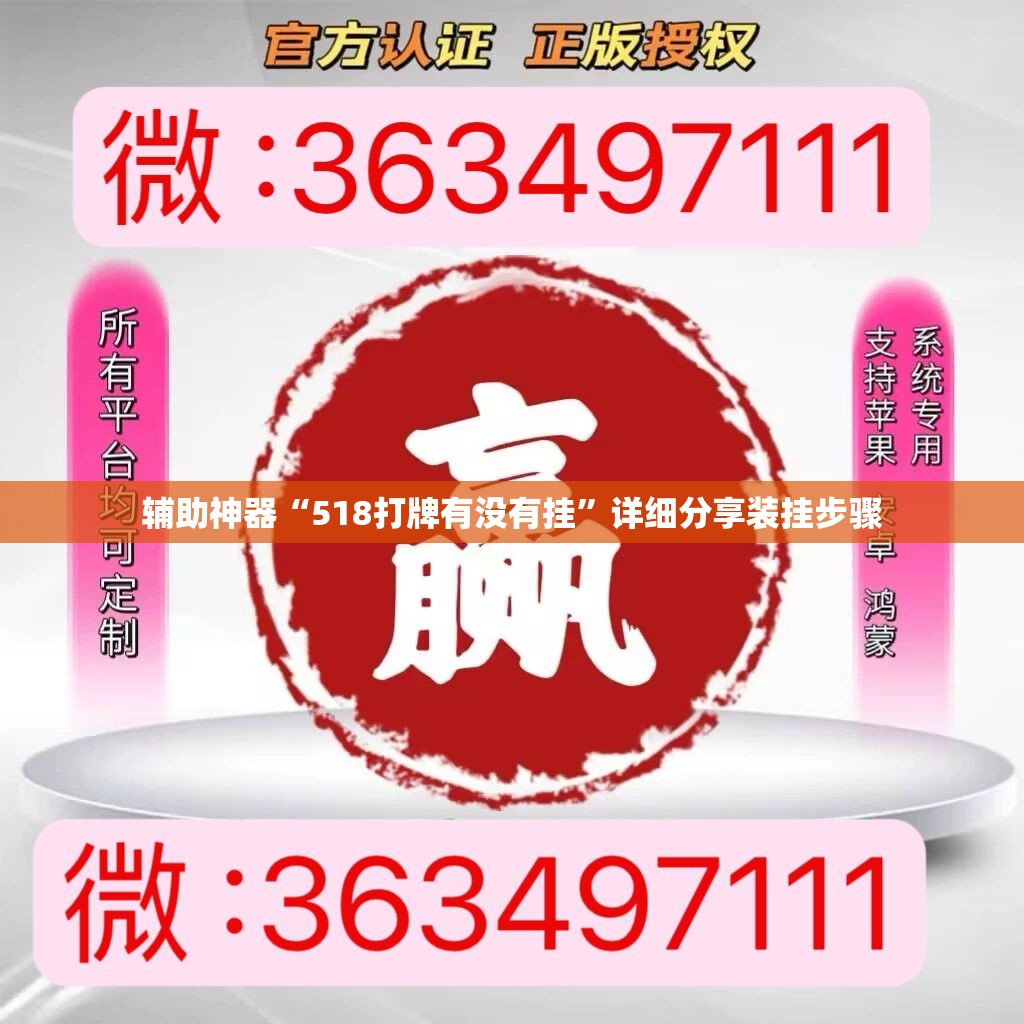 辅助神器“518打牌有没有挂”详细分享装挂步骤