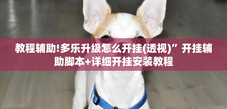 教程辅助!多乐升级怎么开挂(透视)	”开挂辅助脚本+详细开挂安装教程