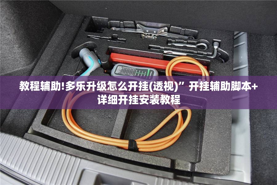 教程辅助!多乐升级怎么开挂(透视)”开挂辅助脚本+详细开挂安装教程