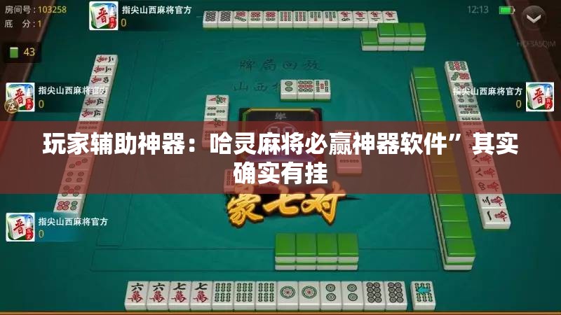 玩家辅助神器：哈灵麻将必赢神器软件”其实确实有挂