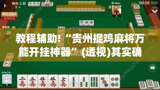 教程辅助!“贵州捉鸡麻将万能开挂神器	”(透视)其实确实有挂