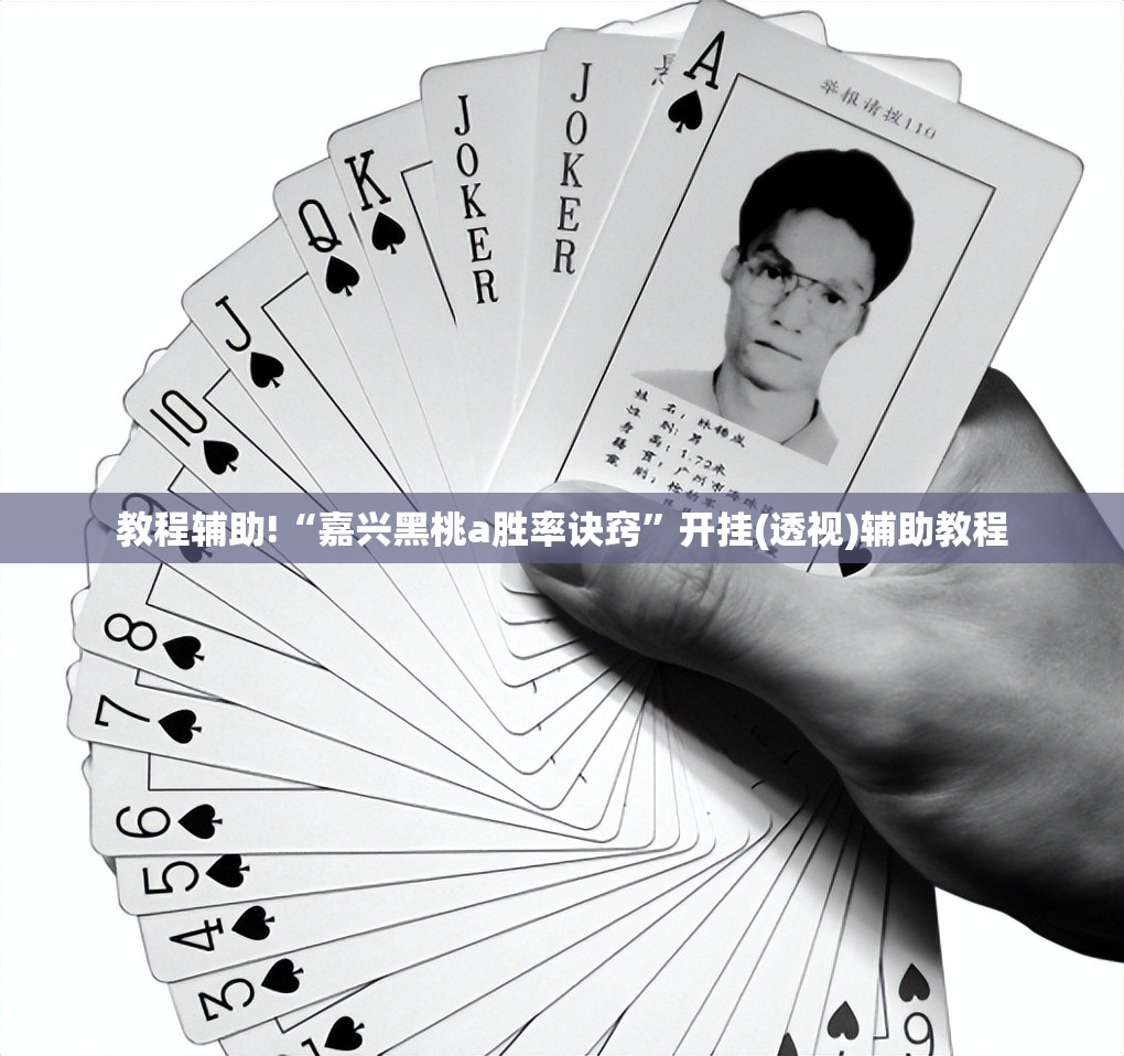 教程辅助!“嘉兴黑桃a胜率诀窍	”开挂(透视)辅助教程