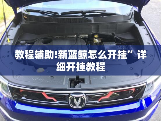 教程辅助!新蓝鲸怎么开挂	”详细开挂教程