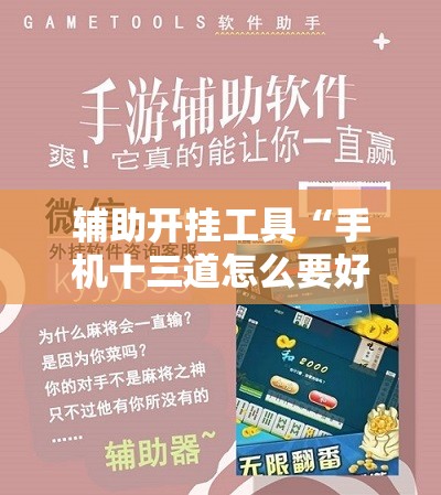 辅助开挂工具“手机十三道怎么要好牌”2026开挂教程步骤