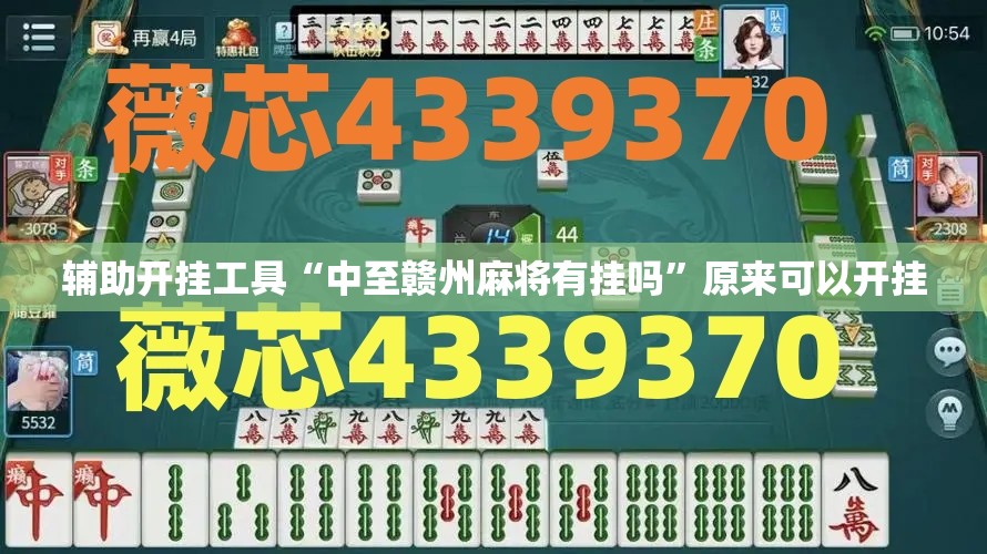 辅助开挂工具“中至赣州麻将有挂吗”原来可以开挂