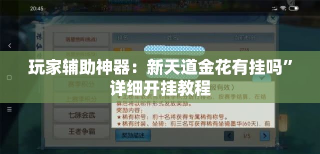 玩家辅助神器：新天道金花有挂吗”详细开挂教程