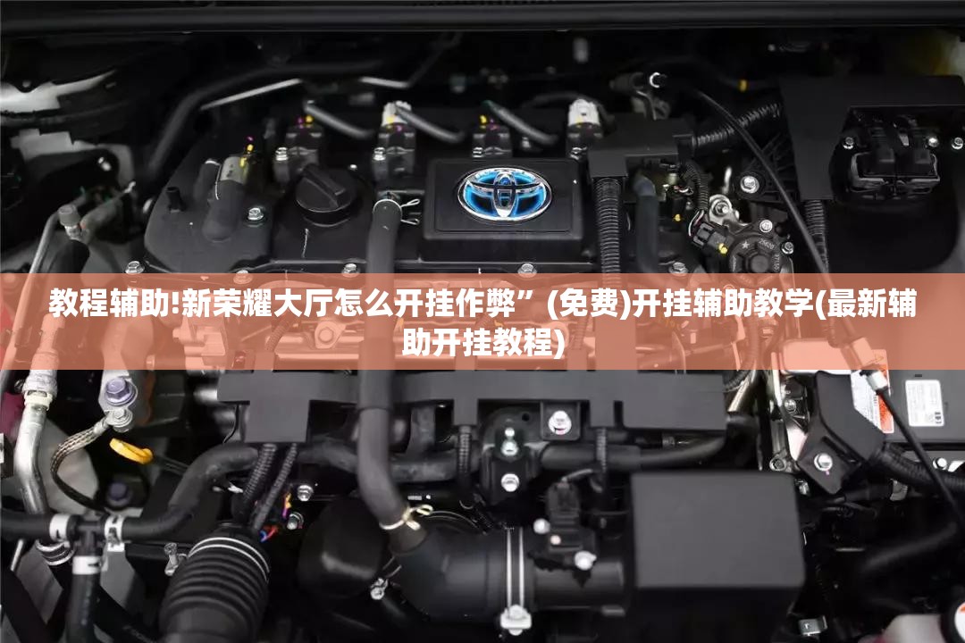 教程辅助!新荣耀大厅怎么开挂作弊	”(免费)开挂辅助教学(最新辅助开挂教程)
