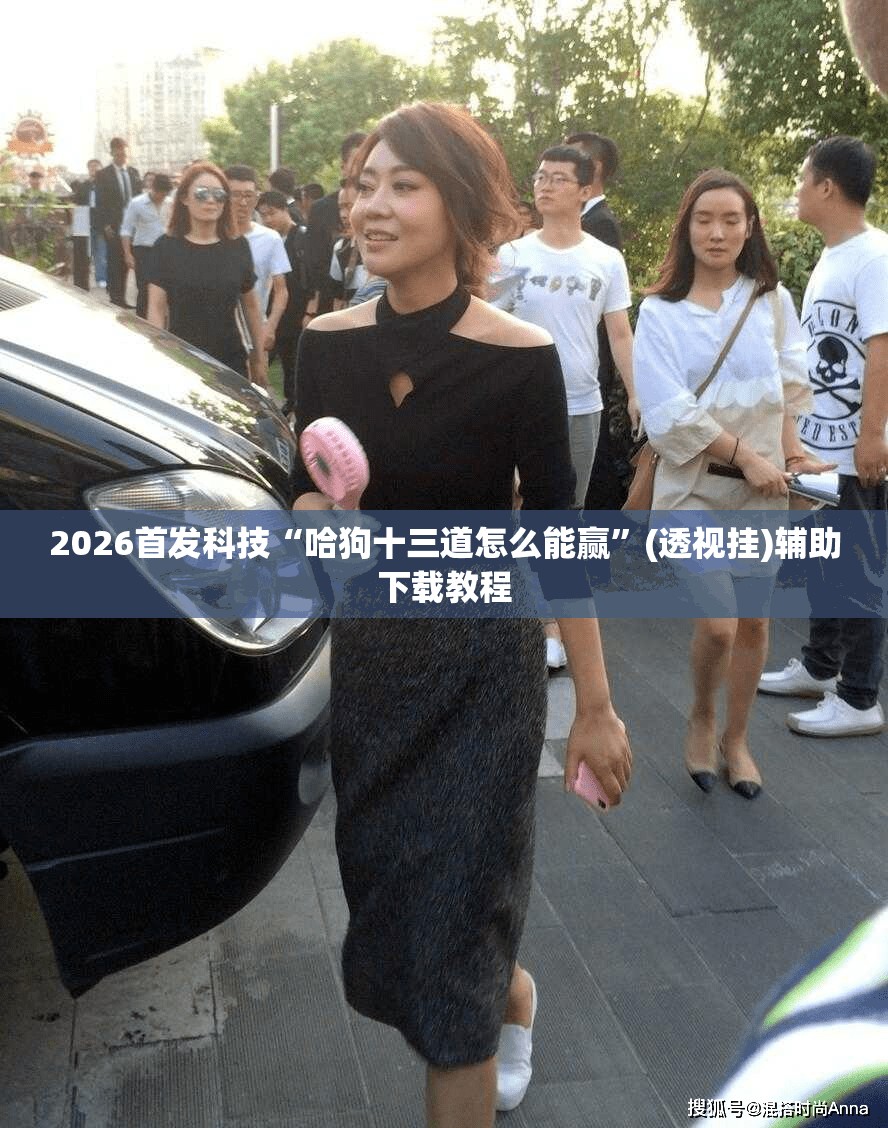 2026首发科技“哈狗十三道怎么能赢”(透视挂)辅助下载教程