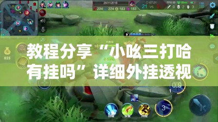 教程分享“小吆三打哈有挂吗	”详细外挂透视辅助软件教程