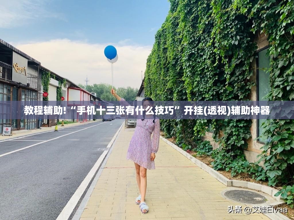教程辅助!“手机十三张有什么技巧	”开挂(透视)辅助神器