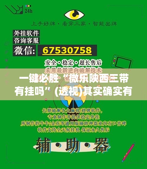 一键必胜“微乐陕西三带有挂吗”(透视)其实确实有挂