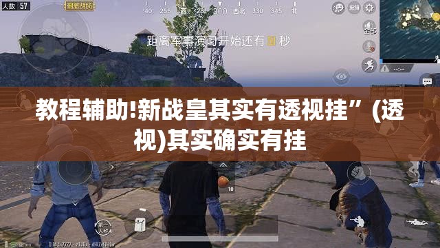 教程辅助!新战皇其实有透视挂”(透视)其实确实有挂