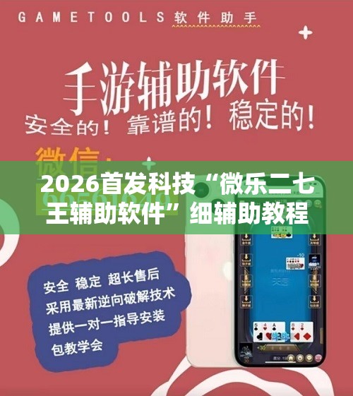 2026首发科技“微乐二七王辅助软件”细辅助教程分享