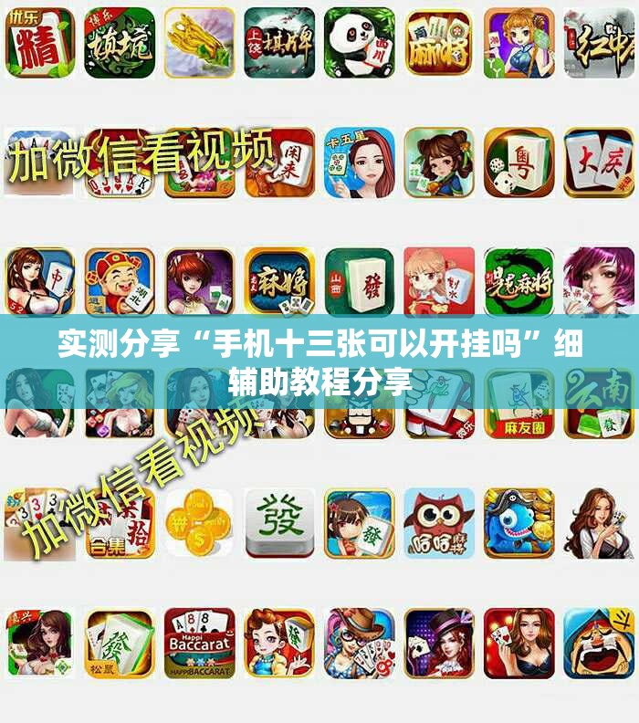 实测分享“手机十三张可以开挂吗	”细辅助教程分享