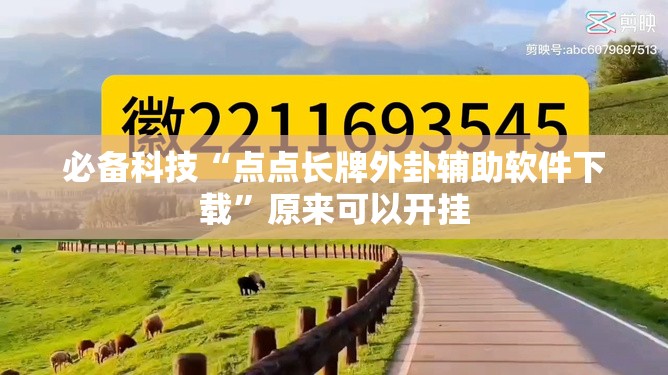 必备科技“点点长牌外卦辅助软件下载”原来可以开挂