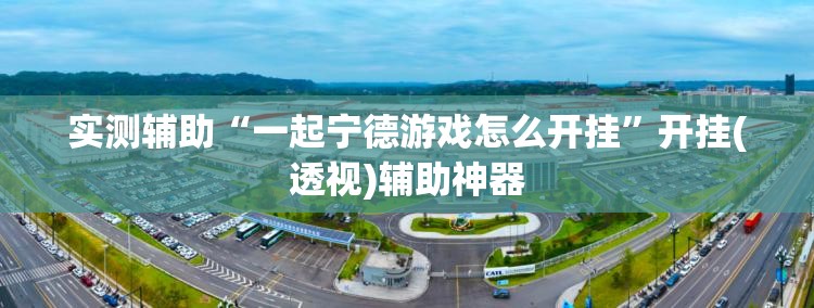 实测辅助“一起宁德游戏怎么开挂	”开挂(透视)辅助神器