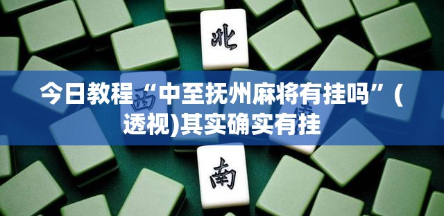 今日教程“中至抚州麻将有挂吗”(透视)其实确实有挂