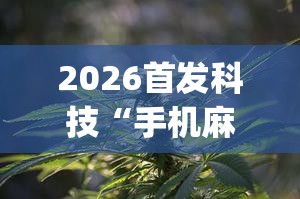 2026首发科技“手机麻将外卦神器通用版v2.0.0.”(辅助神器)开挂详细教程