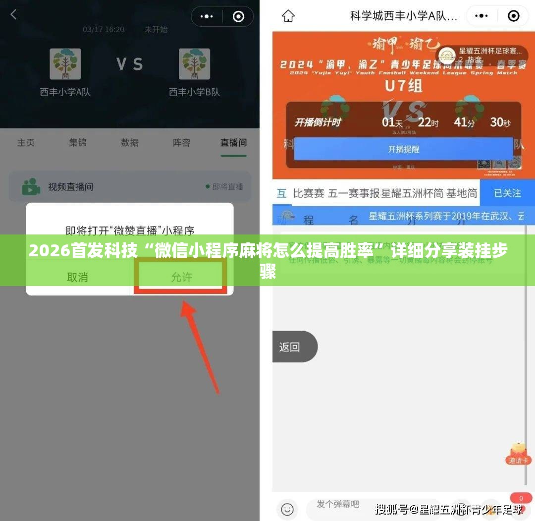 2026首发科技“微信小程序麻将怎么提高胜率”详细分享装挂步骤