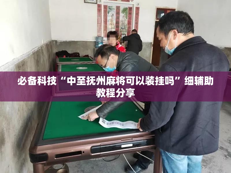 必备科技“中至抚州麻将可以装挂吗”细辅助教程分享