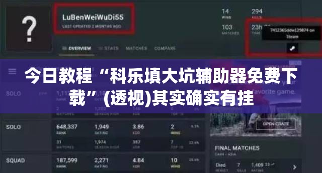 今日教程“科乐填大坑辅助器免费下载	”(透视)其实确实有挂