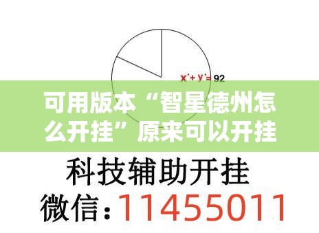 可用版本“智星德州怎么开挂”原来可以开挂